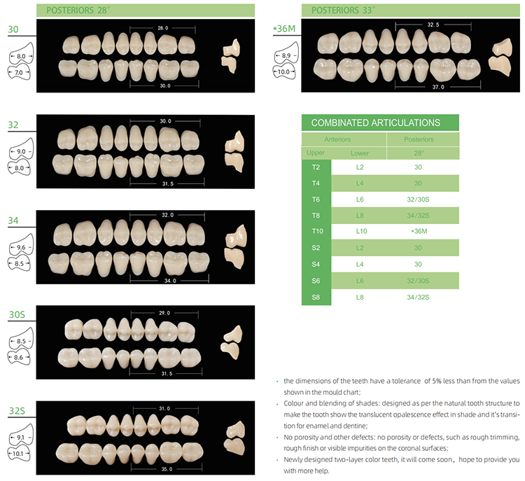 H201 Synthetic Resin Teeth KAILI